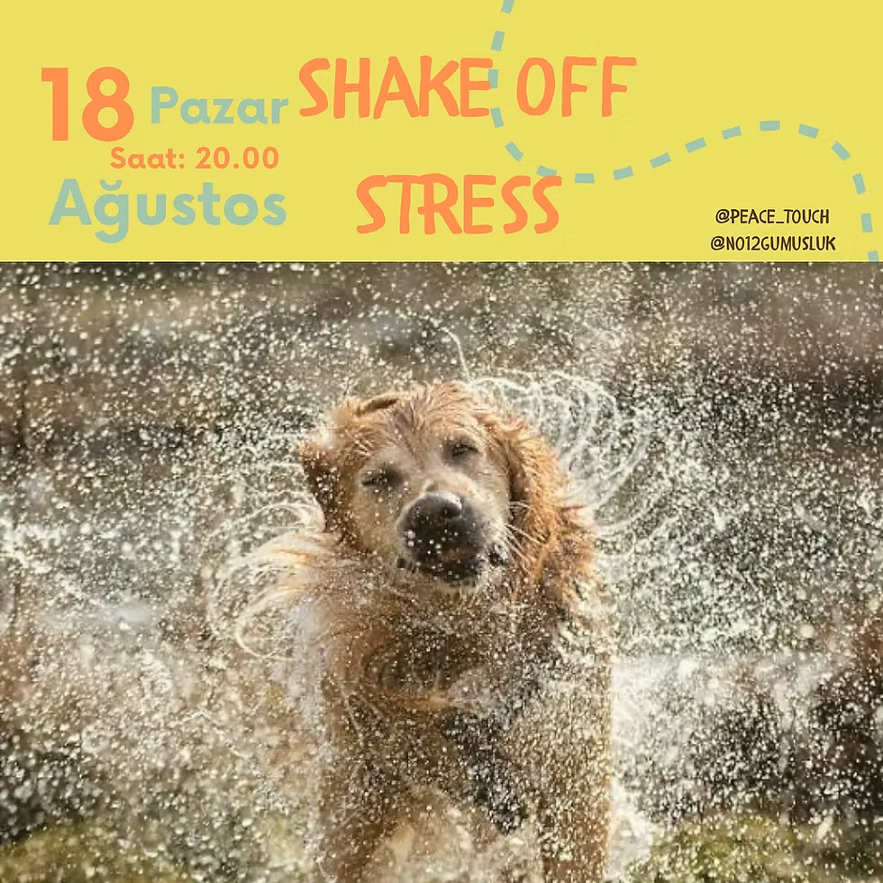 BEDEN TERAPİSİ◢ Shake Off Stress
