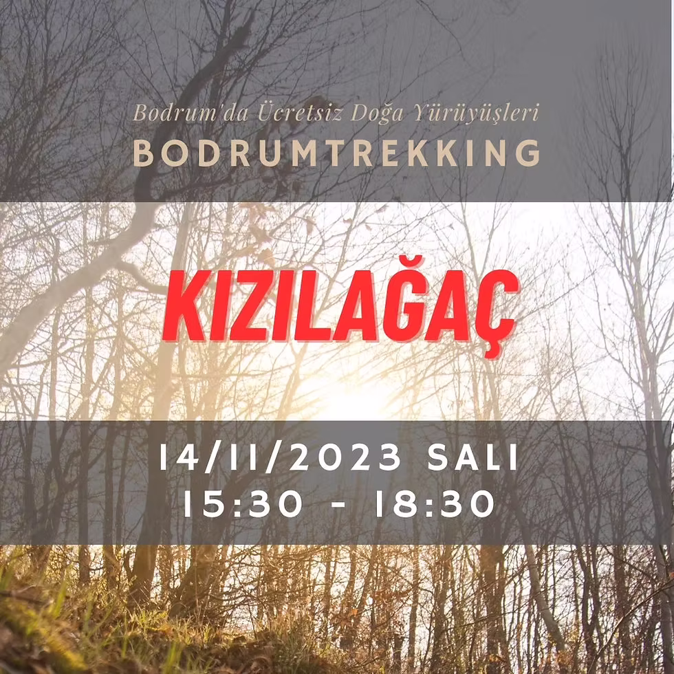 DOĞA YÜRÜYÜŞÜ■ Kızılağaç / Bodrum Trekking