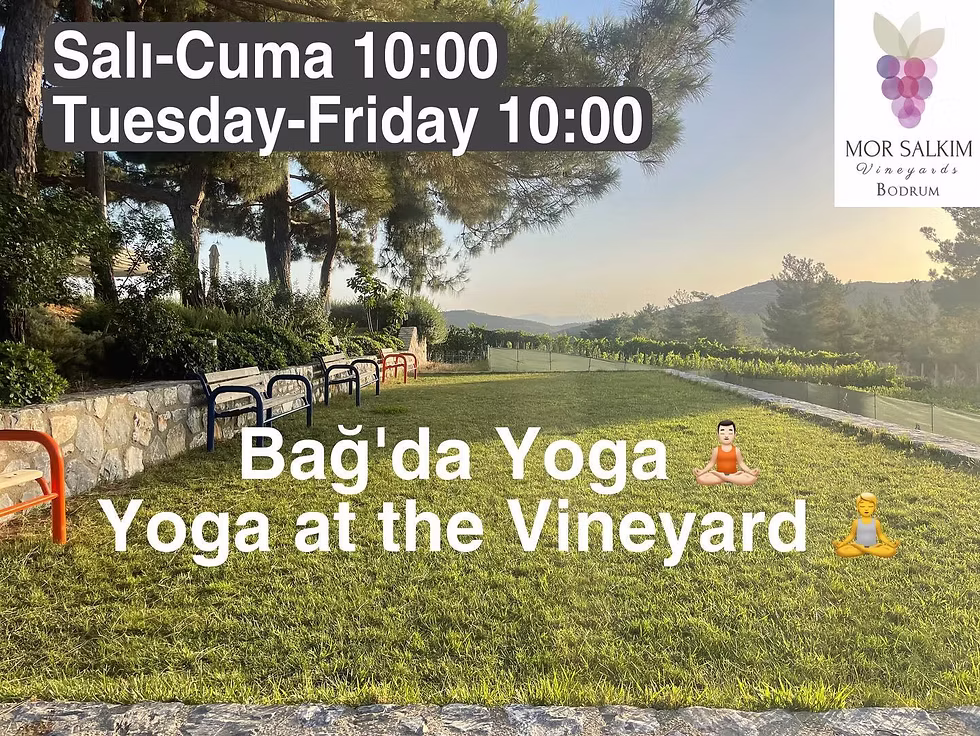 YOGA◢ Yoga Dersi